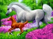 Белая лошадь с жеребёнком на поляне