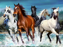 Стадо диких лошадей