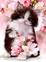 Цветы роз и пушистый котёнок