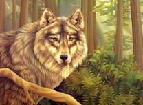 Большой пушистый волк в летнем лесу