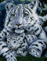 Белая тигрица с тигрёнком