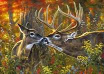 Осенней лес и пара оленей