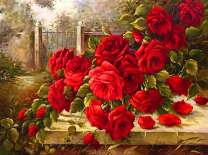 Цветение куста красных роз в саду