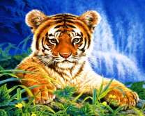 Тигрёнок в зелёной траве