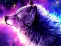 Фолк на фоне млечного пути