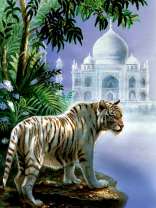 Белый тигр у призрачного дворца