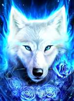 Белая волчица и синие розы