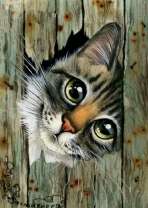 Любопытная мордочка котёнка