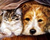 Котёнок и пёс под пледом