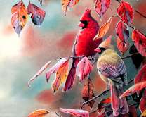 Пара кардиналов на осенней ветке дерева