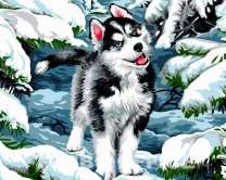 Щеночек лайки в снежном лесу