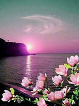 Рассвет над морем и цветущий жасмин