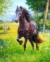 Чёрный конь на весенней полянке