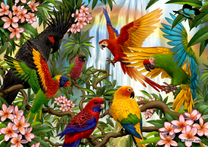 Группа попугаев на цветущей ветке