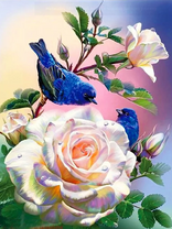 Синие птички сидят на розах