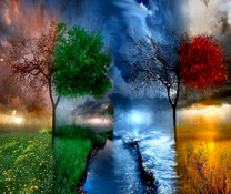 Два дерева у речки в разных временах года