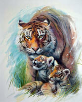 Тигрица с малышами