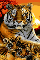 Тигрица с малышами