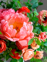 Нежный букет пионов