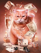 Рыжий кот, карты и деньги