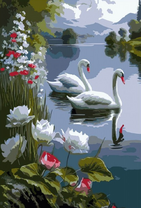 Белые лебеди на озере у лотосов