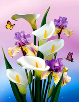 Каллы, ирисы и бабочки