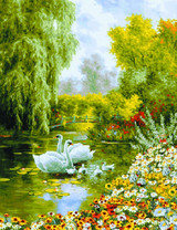 Лебеди и их птенцы на озере