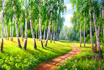 Дорога сквозь березовую рощу