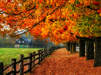 Осенняя тропинка к дому