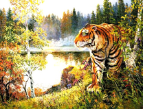 Тигр на берегу реки и осенние деревья