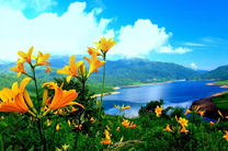 Желтые лилии с видом на горное озеро