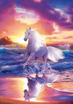 Белый конь на берегу моря