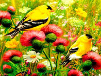 Желтые птички на цветах