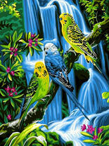 Попугаи на фоне красивого водопада