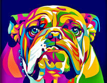 Бульдог в разных цветах