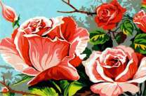 Кусты цветущих роз