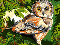 Молодая сова