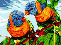 Попугаи на отдыхе