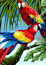 Два больших попугая на ветке