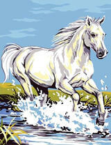 Белый сканун