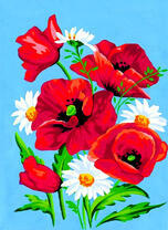 Ромашки и маки на голубом фоне