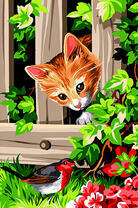 Рыжий котёнок наблюдает за птичкой