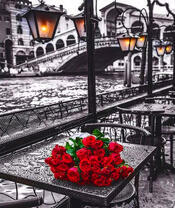 Красный букет роз у моста Венеции