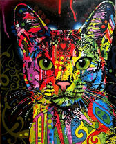 Абиссинская кошка в ярких красках