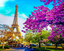 Цветущая весна и вид на Эйфелеву башню
