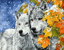 Волк и белая волчица в начале зимы