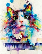 Яркая кошечка с черно-белой мордочкой