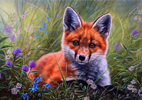 Милый лисёнок в летней траве