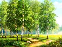 Дорога через берёзовую рощу