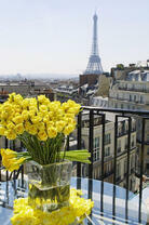 Вид на Эйфелеву башню издалека